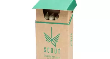 Custom Cannabis Pre-Roll Boxes