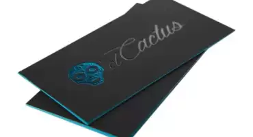 Custom Business Cards With Foiling