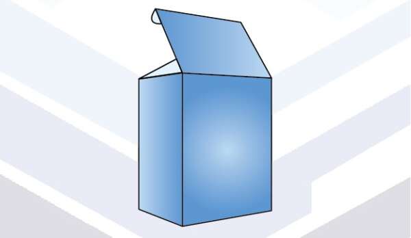 TUCK WITH DUST FLAP LOCK BOX MOCKUP